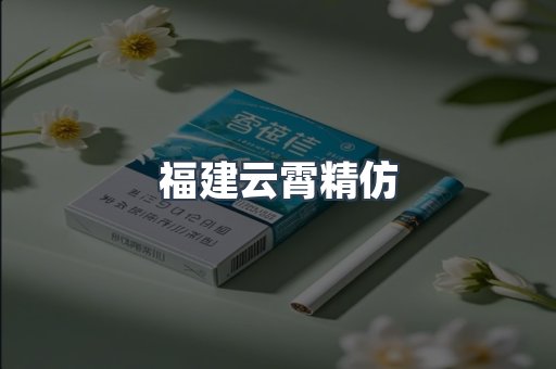 福建云霄精仿